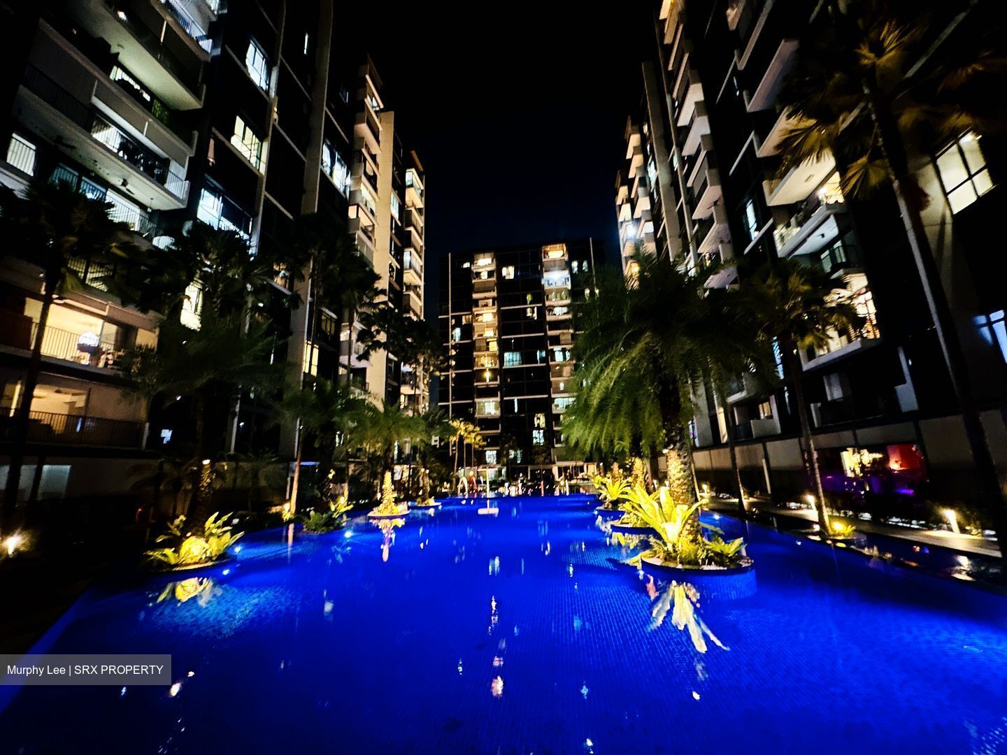 La Fiesta (D19), Condominium #447307141